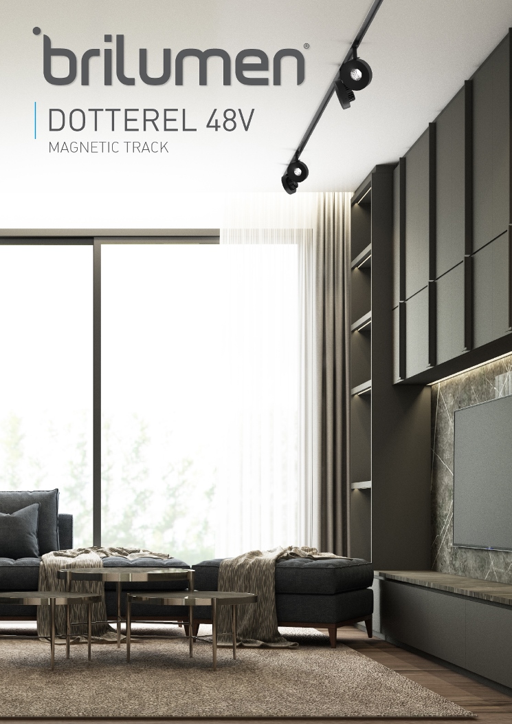 Flyer DOTTEREL 48V